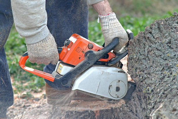 Best Hazardous Tree Removal  in Gardiner, ME
